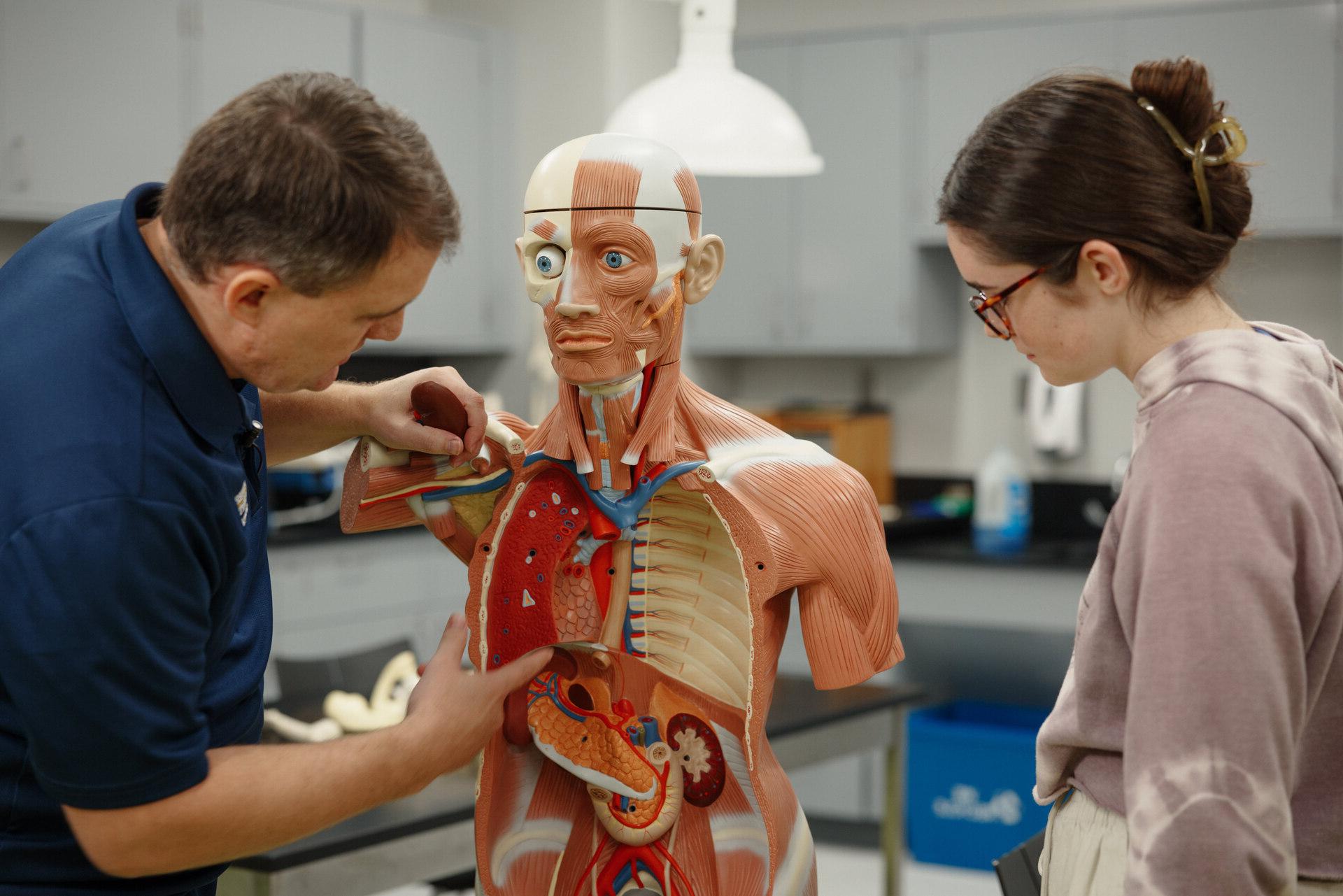 A group of doctors looking over x-ray results